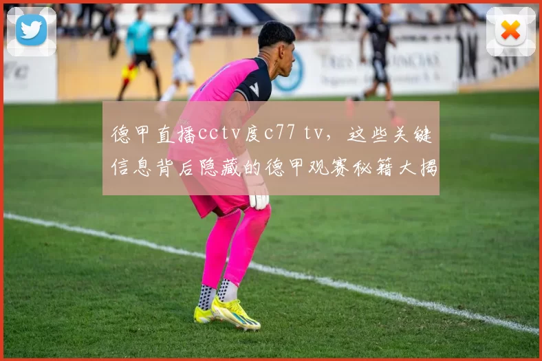 德甲直播cctv度c77 tv，这些关键信息背后隐藏的德甲观赛秘籍大揭秘！