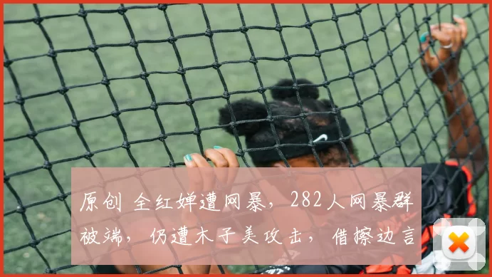 原创 全红婵遭网暴，282人网暴群被端，仍遭木子美攻击，借擦边言论挑事，还把陈芋汐也拉下水