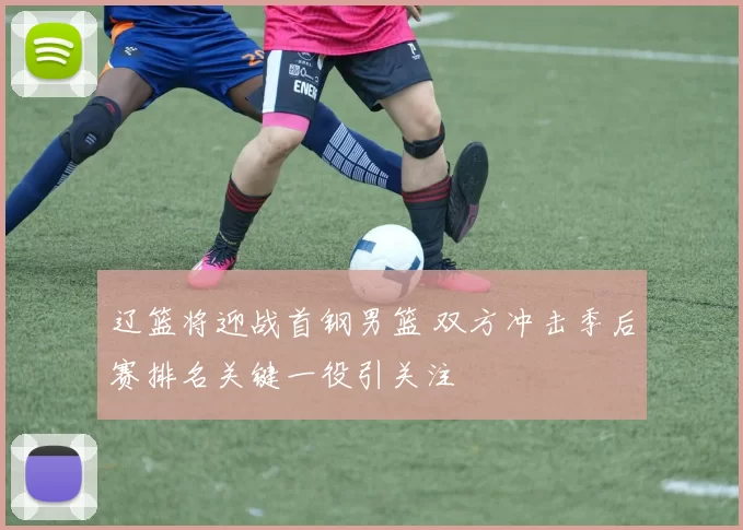 辽篮将迎战首钢男篮 双方冲击季后赛排名关键一役引关注