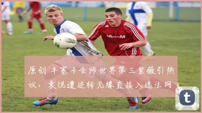 原创 丰塞卡会师世界第三紫薇引热议,袁悦遭逆转无缘直接入选法网正赛