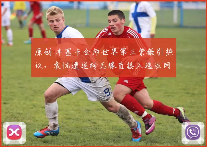 原创 丰塞卡会师世界第三紫薇引热议,袁悦遭逆转无缘直接入选法网正赛